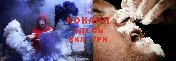 шишки Алексин