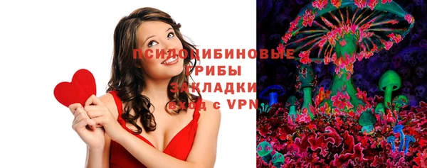 спиды Алексеевка
